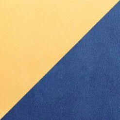 Set Of 2 Marcel Contemporary Dining Chair Gold/Blue Velvet - LumiSource -Furniture Haven Shop GUEST bcbc2443 4113 45dd 9ae4 bbeba9c579f8